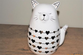 Studio White Cat